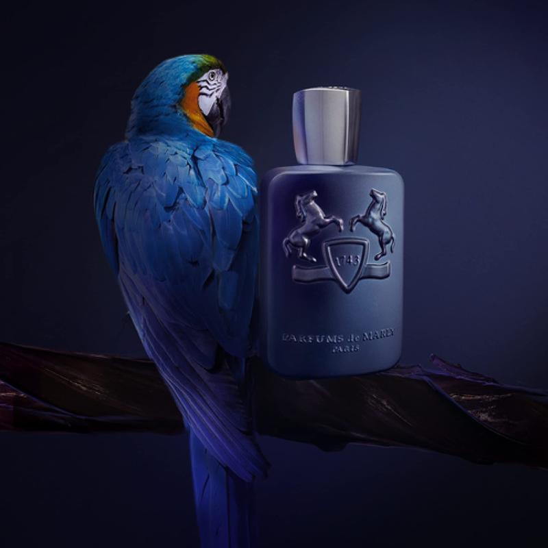 Perfume Parfums de Marly Layton Eau De Parfum 125ml para homens